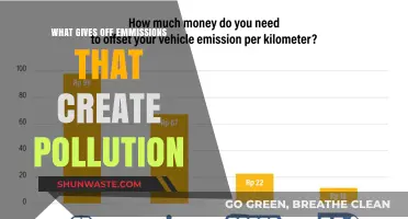 Emissions and Their Sources: Understanding Pollution's Origins
