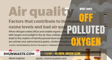 Plants and Pollution: The Oxygen Paradox