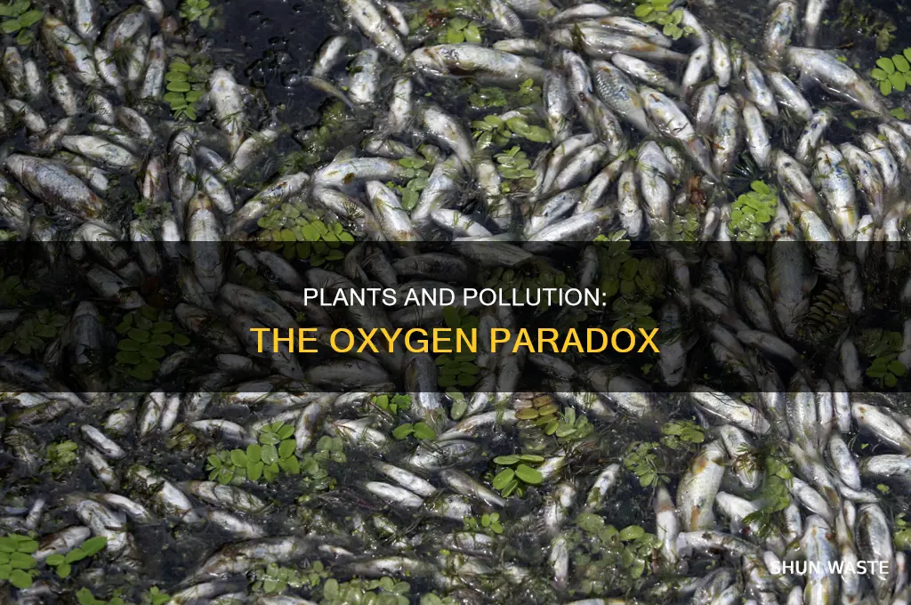 what gives off polluted oxygen