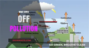 Sources of Pollution: Understanding the Culprits