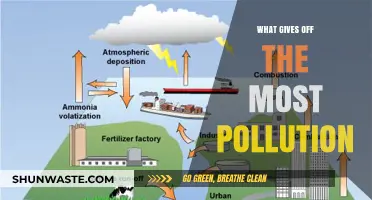 Transportation's Dark Side: What Pollutes the Most?