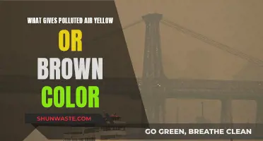 Air Pollution: Why Does It Turn Yellow or Brown?
