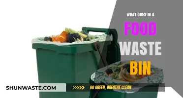 Decoding the Food Waste Bin: What Really Belongs Inside?