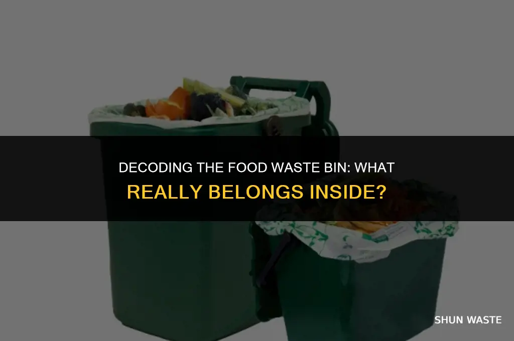 what goes in a food waste bin
