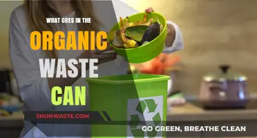 Decoding the Organic Waste Can: A Guide to Eco-Friendly Disposal