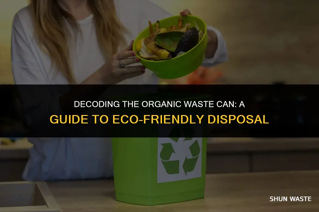 what goes in the organic waste can