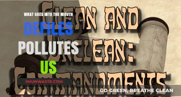 Mouth's Intake: Polluting Our Being