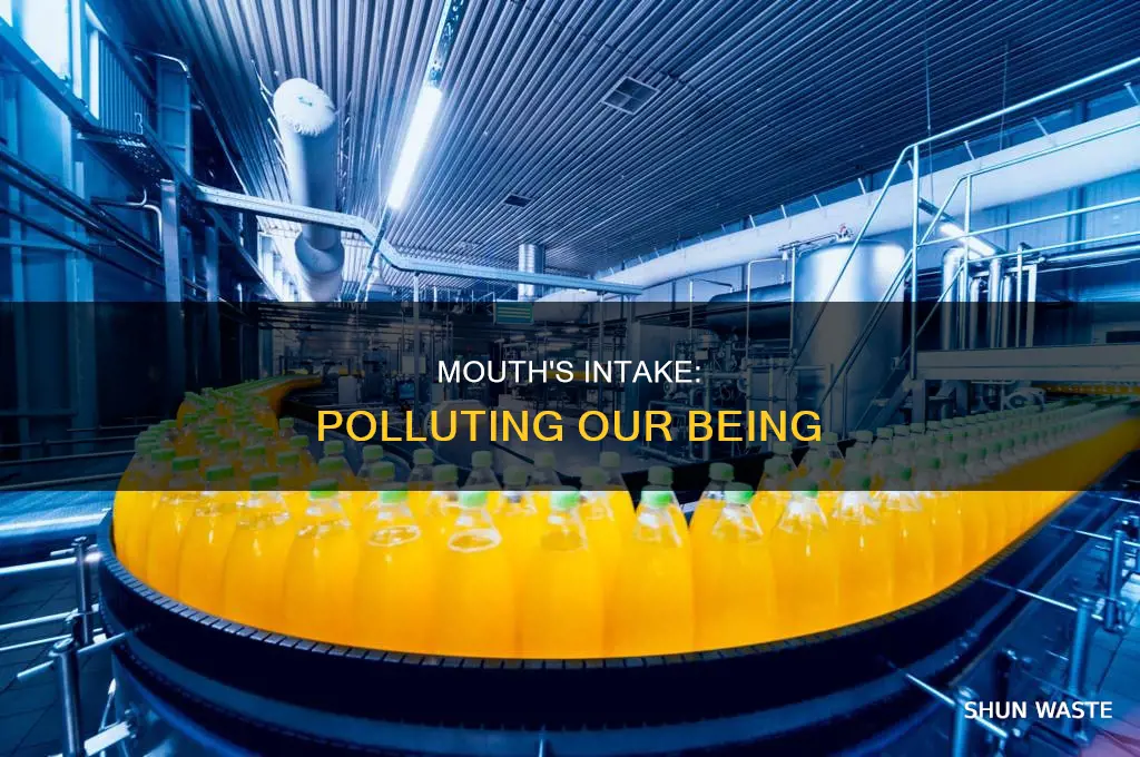 what goes into the mouth defiles pollutes us