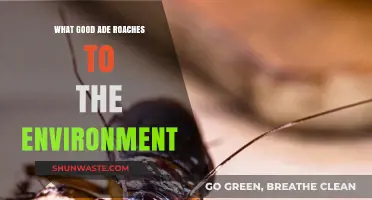 Eco-Friendly Ade Roaches: Unveiling Their Surprising Environmental Benefits