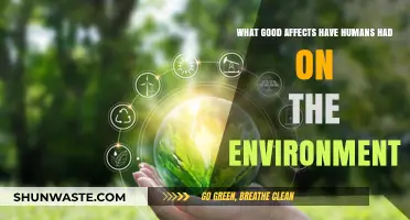 Human Innovations: Positive Environmental Impacts and Sustainable Progress
