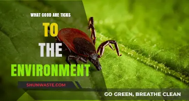 Ticks' Surprising Ecological Role: Uncovering Their Environmental Benefits