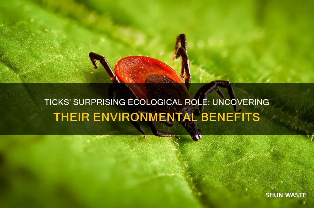 what good are ticks to the environment
