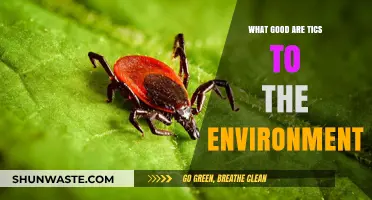 Tics' Surprising Eco-Benefits: Uncovering Nature's Hidden Allies
