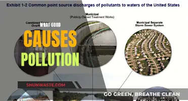 Unveiling the Hidden Causes of Pollution: A Comprehensive Guide