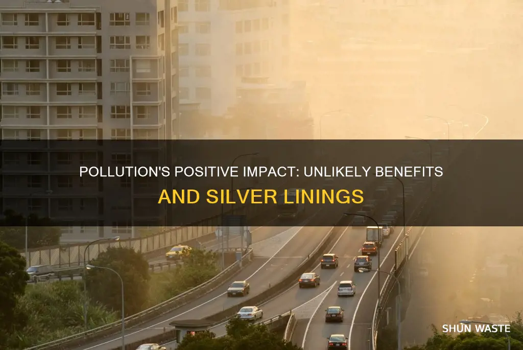 what good causes pollution