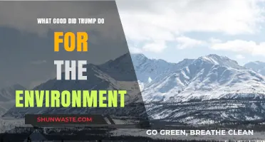 Trump's Environmental Legacy: Surprising Conservation Wins and Policy Shifts