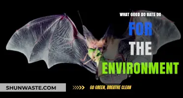 Bats: Unsung Heroes of Ecosystems and Environmental Health
