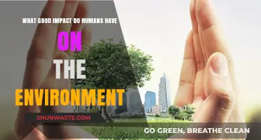 Human Innovations: Positive Environmental Impacts and Sustainable Progress