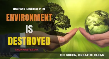Sustainable Business: Why Environmental Preservation is Key to Success