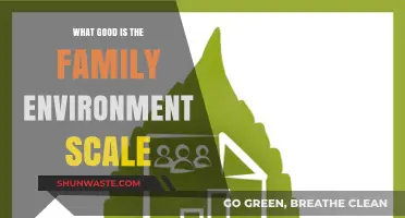Family Environment Scale: Measuring Impact on Child Development and Well-being