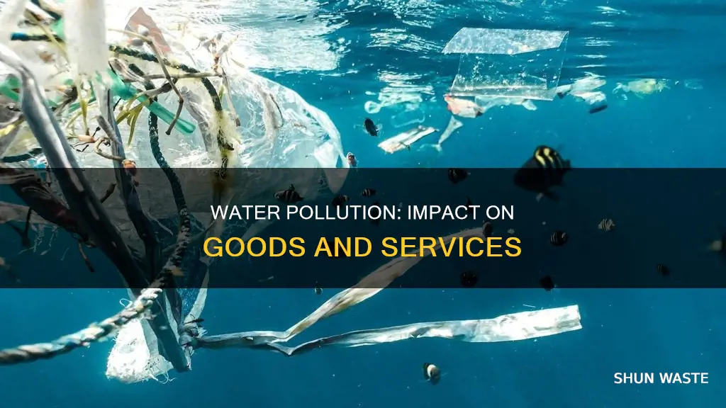 what goods services are being produced water pollution