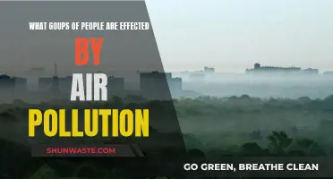 Air Pollution: Who Suffers the Most?