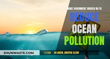 Combating Ocean Pollution: The Role of Government Intervention