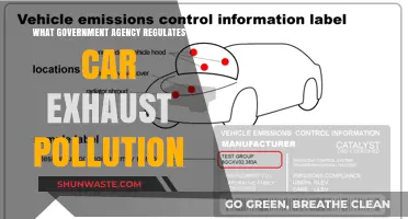 Car Exhaust Pollution: Which Government Agency Regulates It?
