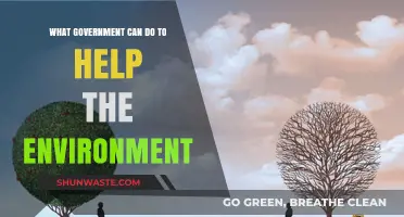 Sustainable Policies: How Governments Can Lead Environmental Conservation Efforts