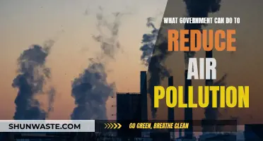 Policy Changes for Cleaner Air
