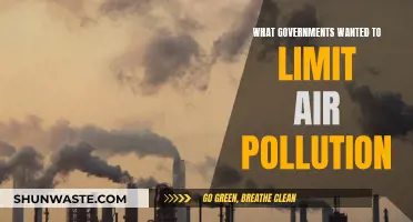 Air Pollution: Governments' Efforts for Cleaner Skies