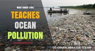 Ocean Pollution Education: Targeting Grades 4–6