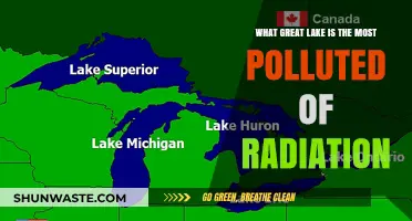 Radiation Pollution: Which Great Lake Suffers Most?