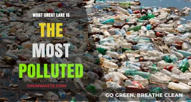 The Great Lakes Pollution Crisis: Which Lake Suffers Most?