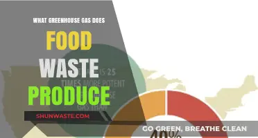 Unveiling the Hidden Culprit: Methane Emissions from Food Waste