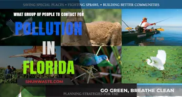 Florida Pollution: Who to Contact and Why