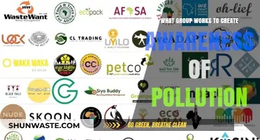 Activists: Creating Awareness to Fight Pollution