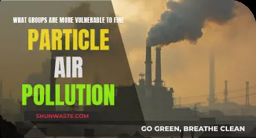Who Suffers Most from Fine Particle Air Pollution?