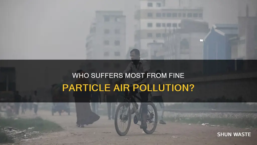 what groups are more vulnerable to fine particle air pollution