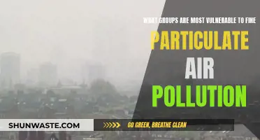 Who Suffers Most From Fine Particulate Air Pollution?