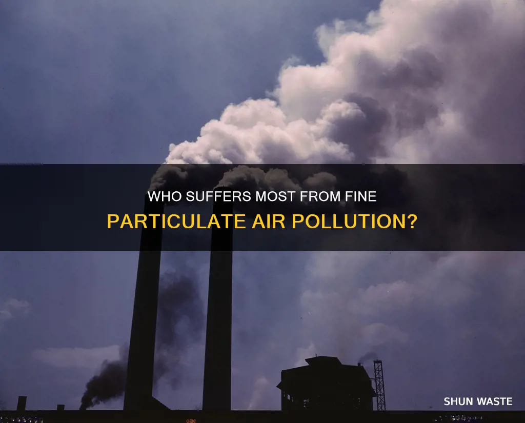 what groups are most vulnerable to fine particulate air pollution