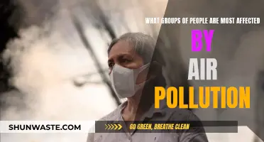 Who Suffers Most from Air Pollution?