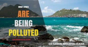 The Great Pacific Garbage Patch: A Gyre in Peril