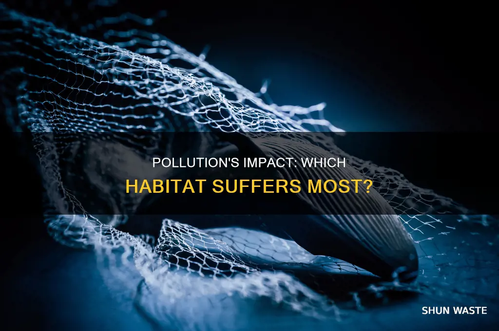 what habitat is most impacted by pollutants