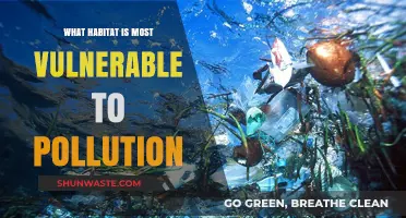 Vulnerable Habitats: Pollution's Devastating Impact