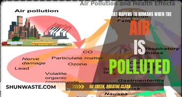 Air Pollution: Its Impact on Human Health