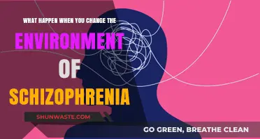 Changing Schizophrenia's Environment: Impact on Symptoms and Recovery Explored
