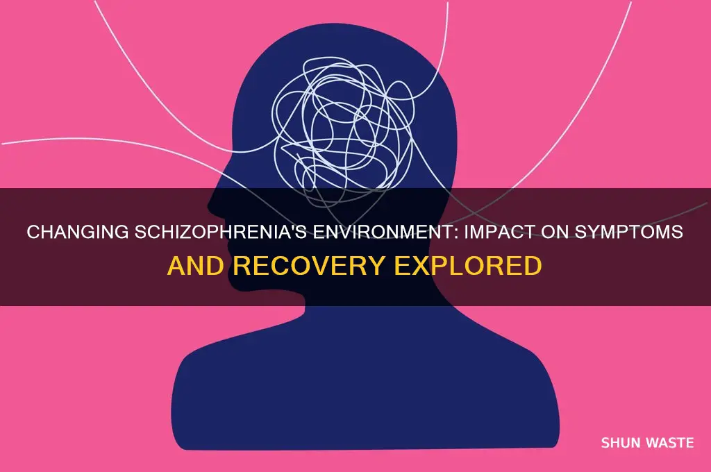 what happen when you change the environment of schizophrenia