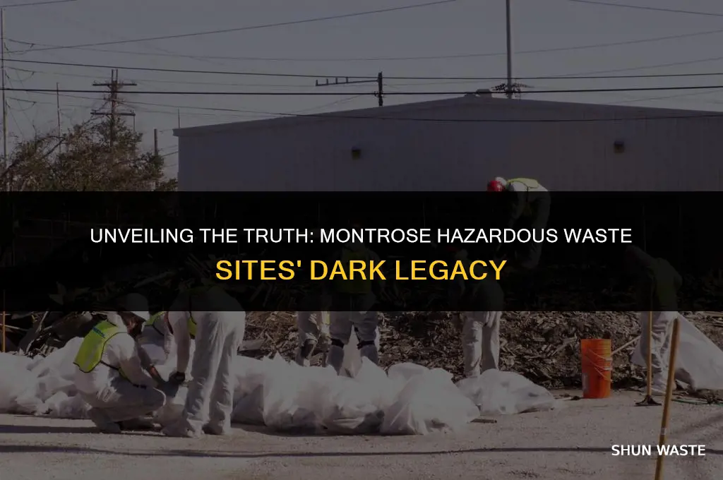 what happened at montrose hazardous waste sites