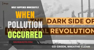 The Devastating Aftermath of Pollution